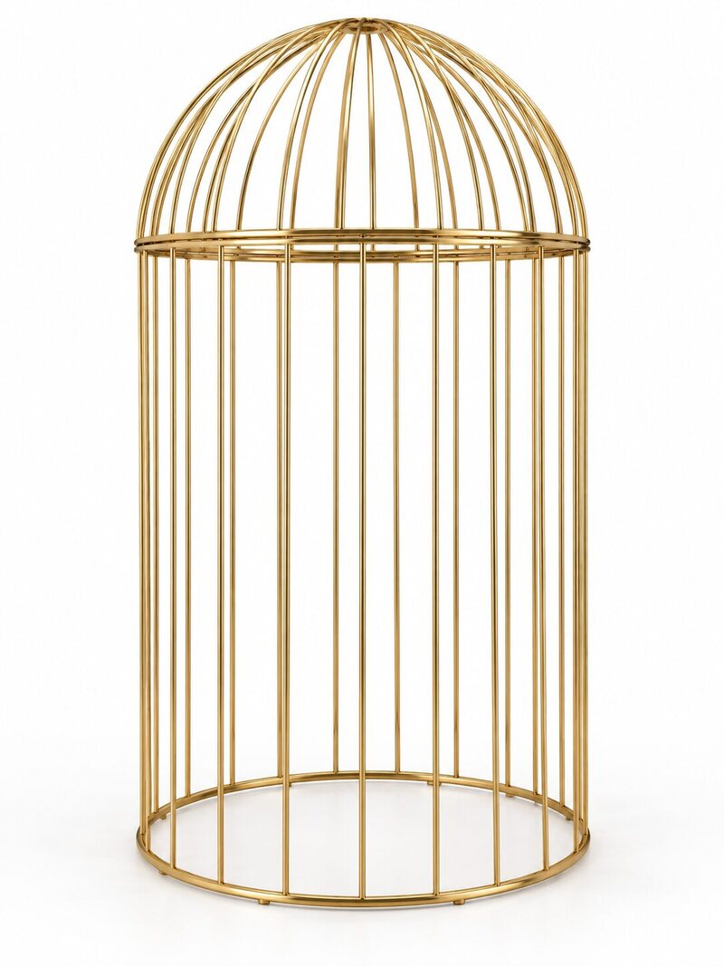 Elegant empty gold birdcage human size for dancers
